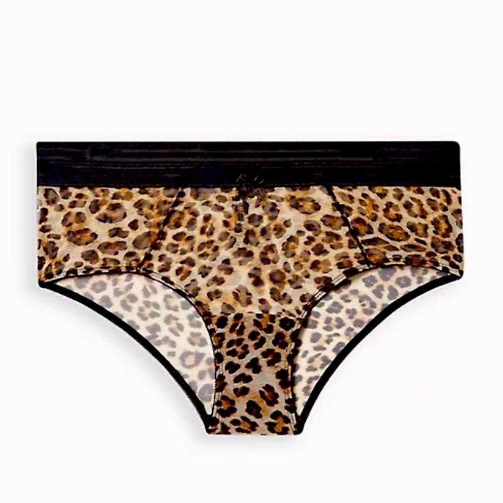 Torrid Sexy Mesh Cheeky Panties! NWT! Size 1X